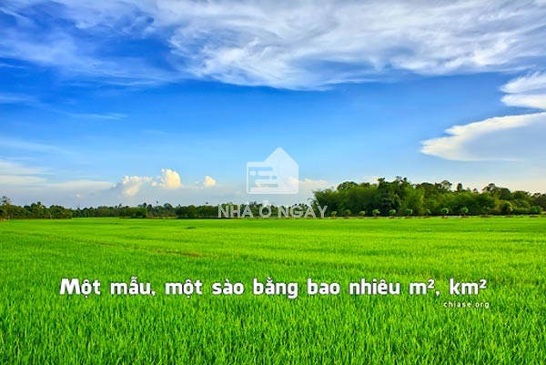 **3 Sào Ruộng Bằng Bao Nhiêu Mét Vuông? Giải Đáp Chi Tiết Nhất** **3 Sào Ruộng Bằng Bao Nhiêu Mét Vuông? Giải Đáp Chi Tiết Nhất**