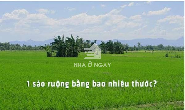 Ứng dụng của việc quy đổi diện tích đất