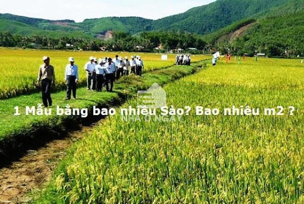 Câu hỏi thường gặp về quy đổi diện tích