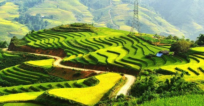 Cảm Nhận Đất Nước: Khám Phá Vẻ Đẹp Tiềm Ẩn Trong Mỗi Chúng Ta?