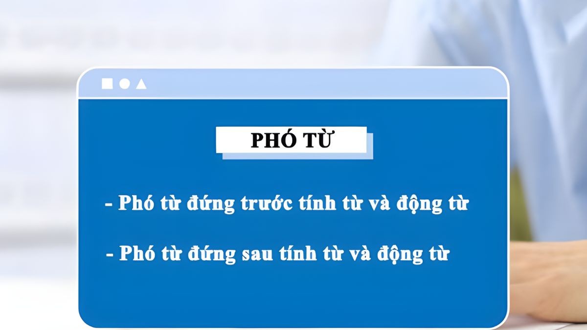 Các loại phó từ trong tiếng Việt