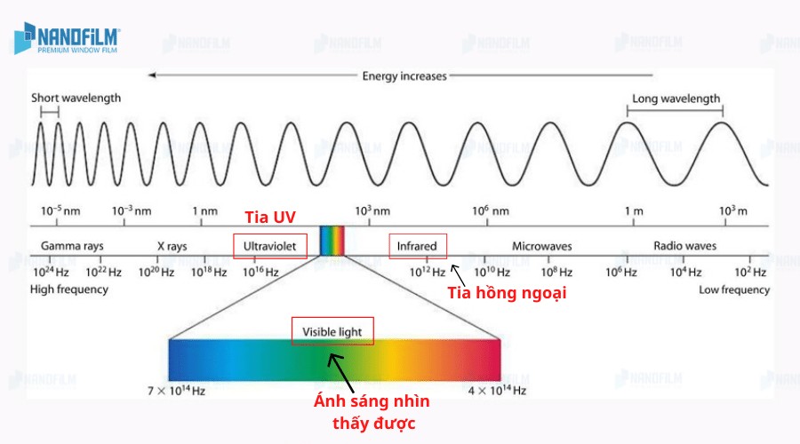 Toán Lớp 8 Bài 3: Phép Cộng Và Phép Trừ Đa Thức – Giải Chi Tiết