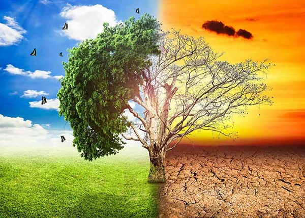 **Khám Phá Biểu Tượng Các Nước: Điểm Đến Du Lịch Nổi Tiếng Thế Giới**