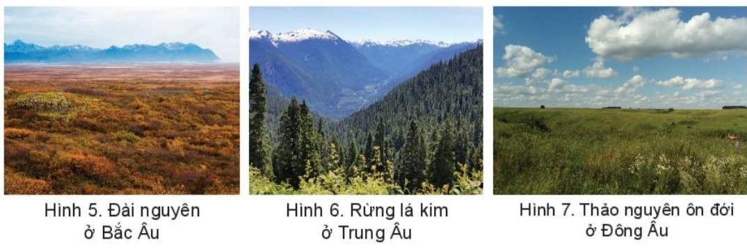 **Các Phép Liệt Kê Là Gì? Đặc Điểm, Phân Loại Và Tác Dụng Như Thế Nào?**