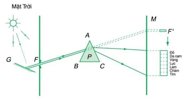 **Đồng Hợp Tử Là Gì? Ảnh Hưởng Của Đồng Hợp Tử Trong Di Truyền Học**