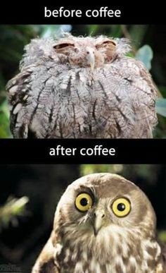 Before and after coffee