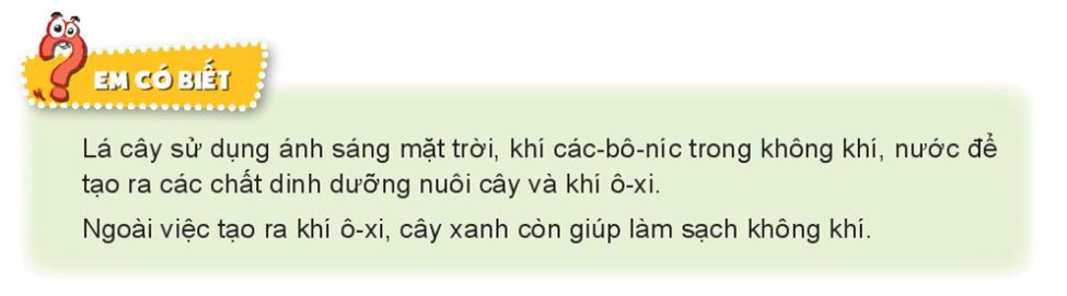 Công Thức Hóa Học 11 Quan Trọng Nhất: Tổng Hợp Chi Tiết Nhất?