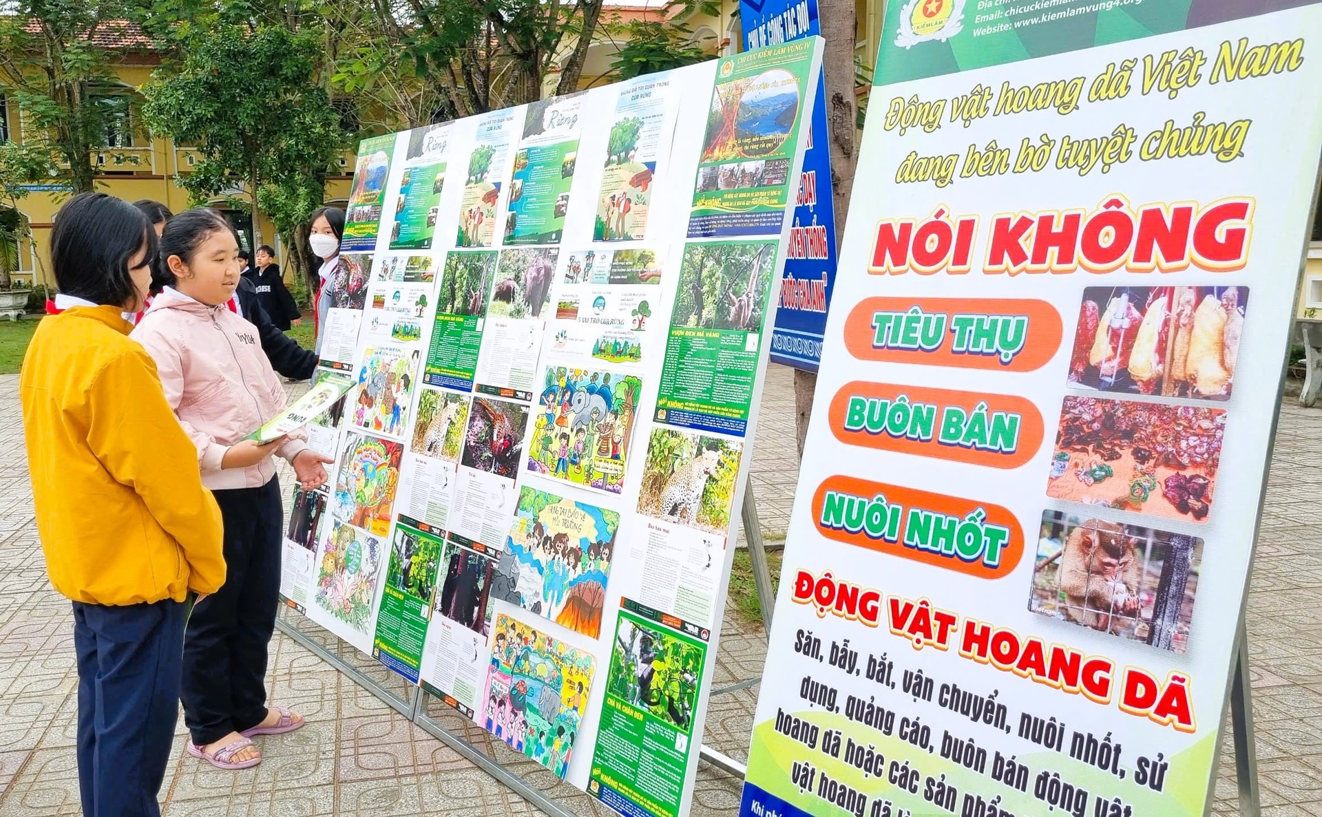 Trưng Bày Tranh Cổ Động Bảo Vệ Rừng
