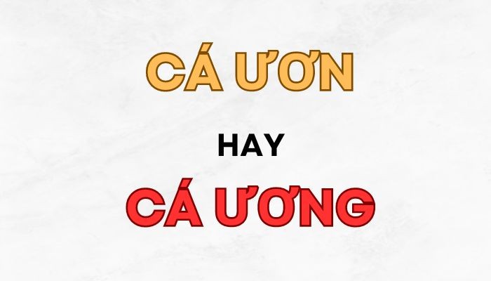 Cá Ươn Hay Ương? Cách Nhận Biết Cá Ươn Chuẩn Xác Nhất 2024 Cá Ươn Hay Ương? Cách Nhận Biết Cá Ươn Chuẩn Xác Nhất 2024