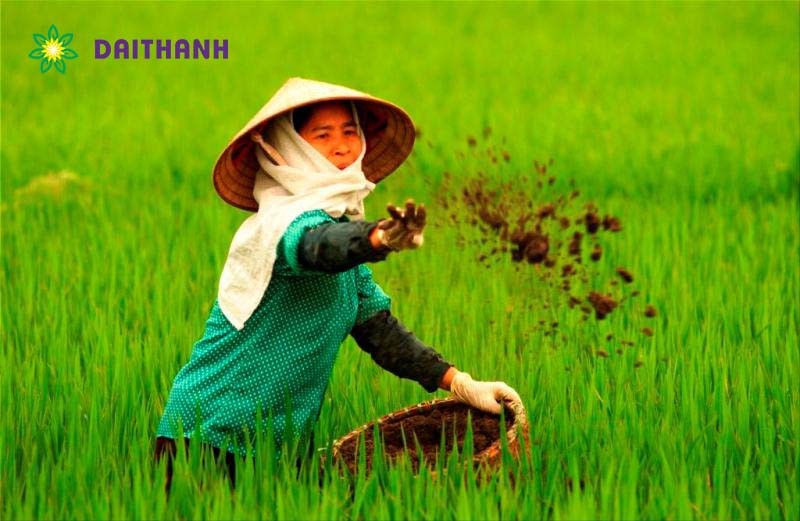**Hình Tượng Con Cò Trong Ca Dao: Biểu Tượng Đậm Nét Văn Hóa Việt**