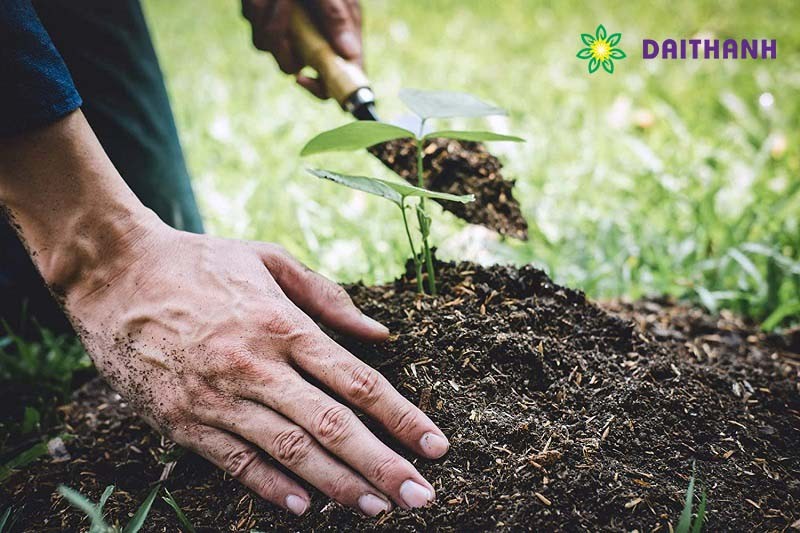 Châu Âu Ngăn Cách Với Châu Á Bởi Dãy Núi Nào? Giải Đáp Chi Tiết