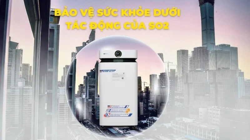 Trong Điều Kiện Không Oxi, Sắt Phản Ứng Với Dung Dịch Nào Ra Sắt (III)?