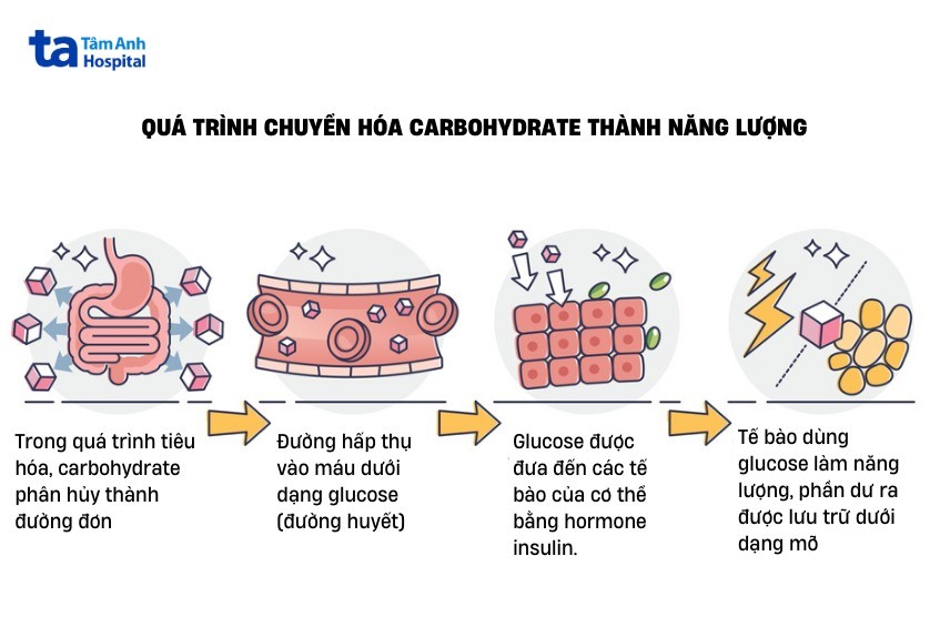 Công Thức Cấu Tạo SO3: Giải Thích Chi Tiết và Cách Viết Đúng Nhất