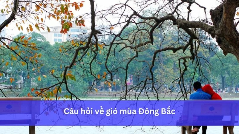 Tháng 6 Là Mùa Gì? Khám Phá Vẻ Đẹp Đặc Trưng Của Mùa Hè