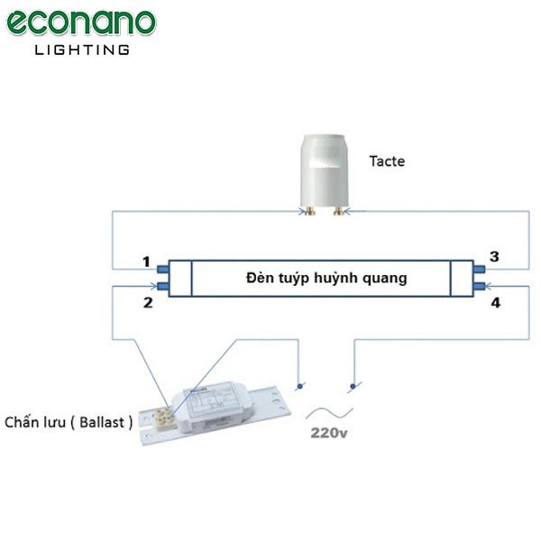 Cấu tạo đèn tuýp huỳnh quang.