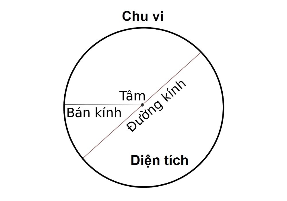 **By Christmas I For Mr.Smith**: Hành Trình Chọn Cây Thông Noel Cho Nhà Trắng