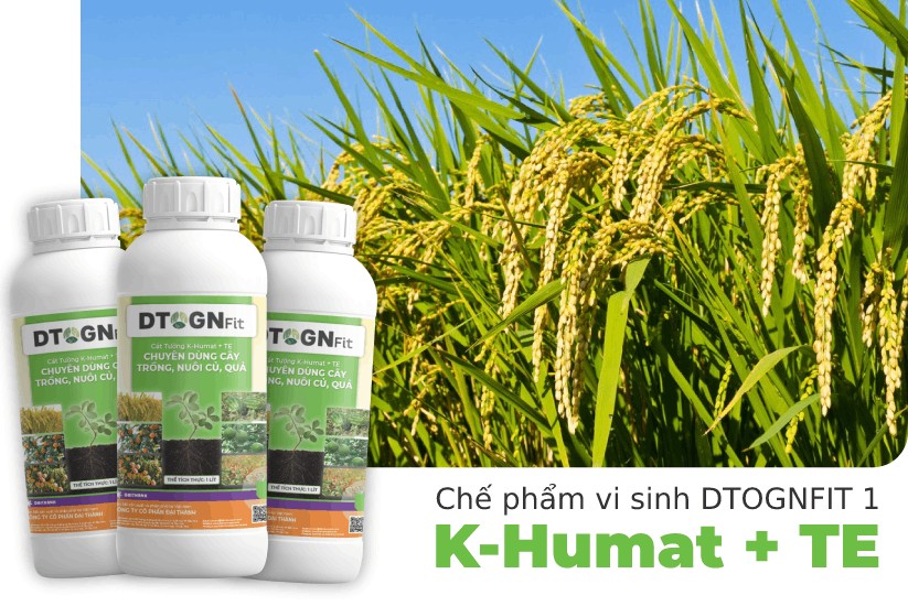Châu Âu Ngăn Cách Với Châu Á Bởi Dãy Núi Nào? Giải Đáp Chi Tiết