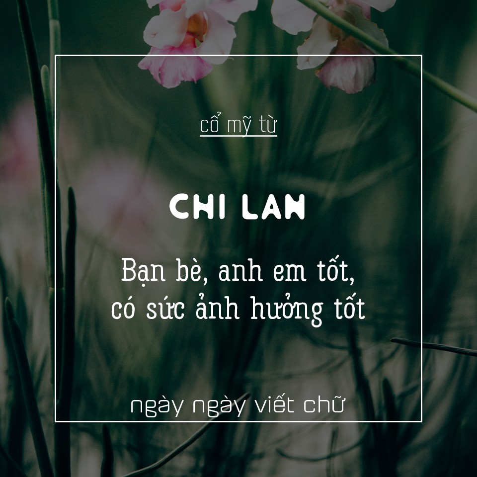 Nội Dung Cơ Bản Của Đường Lối Kháng Chiến Chống Pháp 1945-1954 Là Gì?