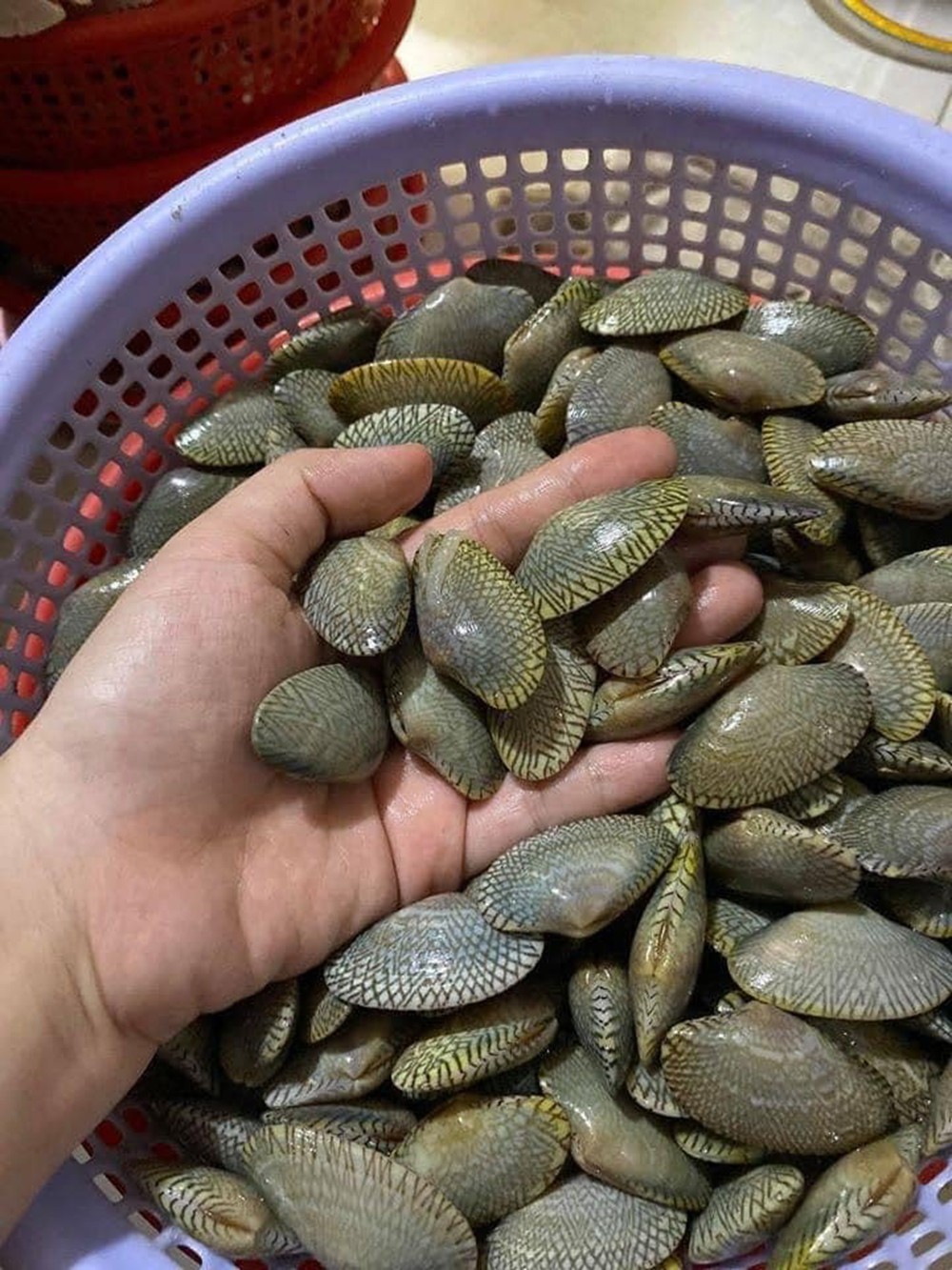 Món chíp chíp hấp sả thơm ngon, hấp dẫn