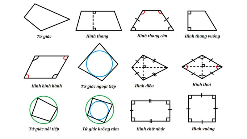 Nghị Luận Về Tình Phụ Tử: Vai Trò, Ý Nghĩa Và Giá Trị