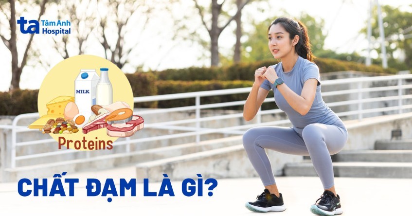 Chất Đạm Có Vai Trò Nào Quan Trọng Với Sức Khỏe Con Người? Chất Đạm Có Vai Trò Nào Quan Trọng Với Sức Khỏe Con Người?