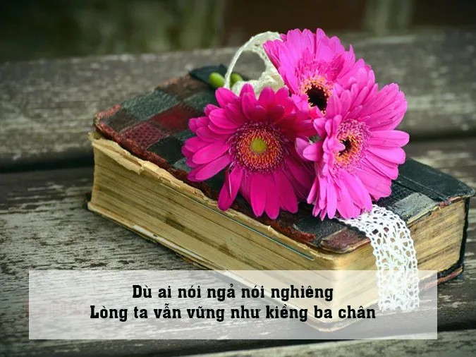 **Góc Vuông Có Bao Nhiêu Độ? Giải Đáp Chi Tiết và Ứng Dụng**