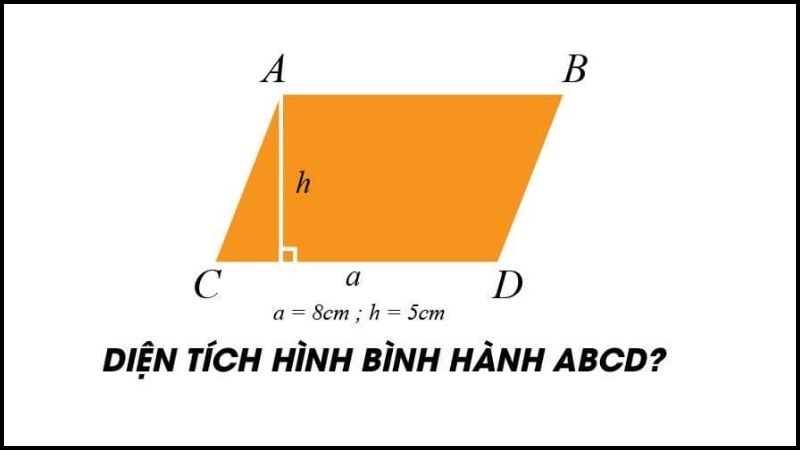 Fehling B Là Gì? Ứng Dụng, Điều Chế Và Lưu Ý Quan Trọng