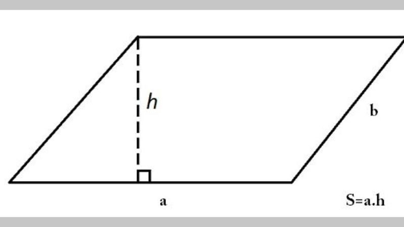 Fehling B Là Gì? Ứng Dụng, Điều Chế Và Lưu Ý Quan Trọng