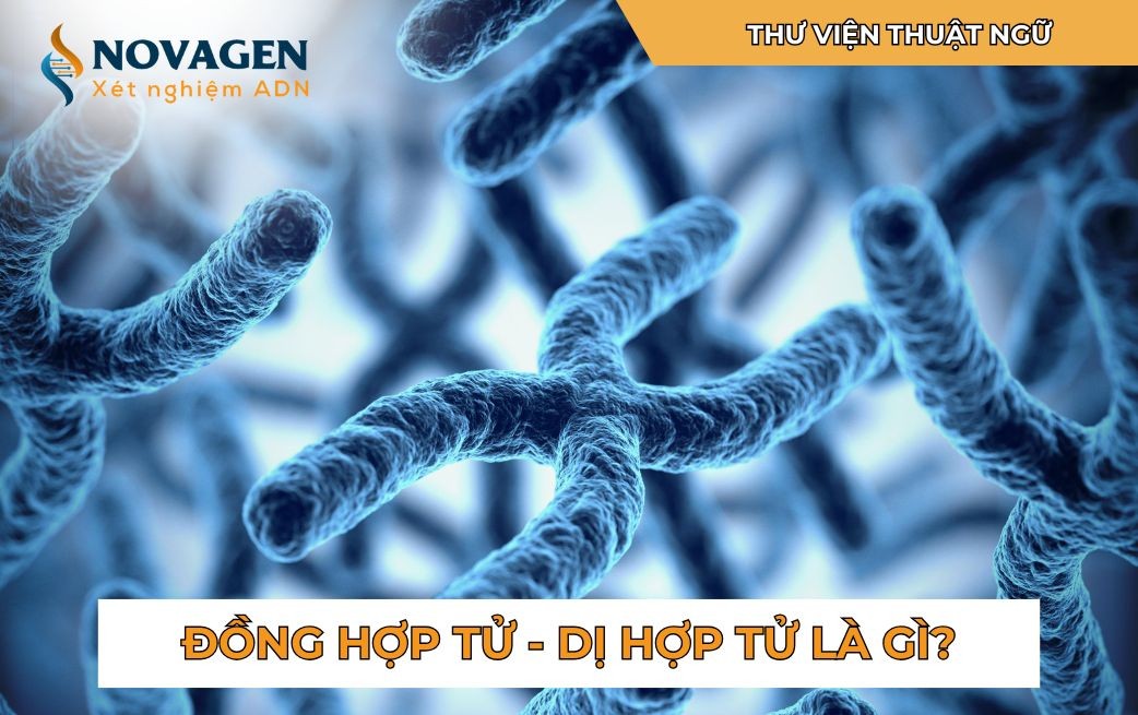 **Cách Tìm Tọa Độ Tâm Đường Tròn Ngoại Tiếp Nhanh và Chính Xác Nhất?**
