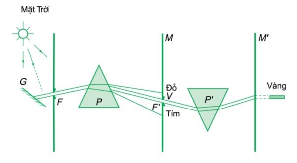 **Đồng Hợp Tử Là Gì? Ảnh Hưởng Của Đồng Hợp Tử Trong Di Truyền Học**