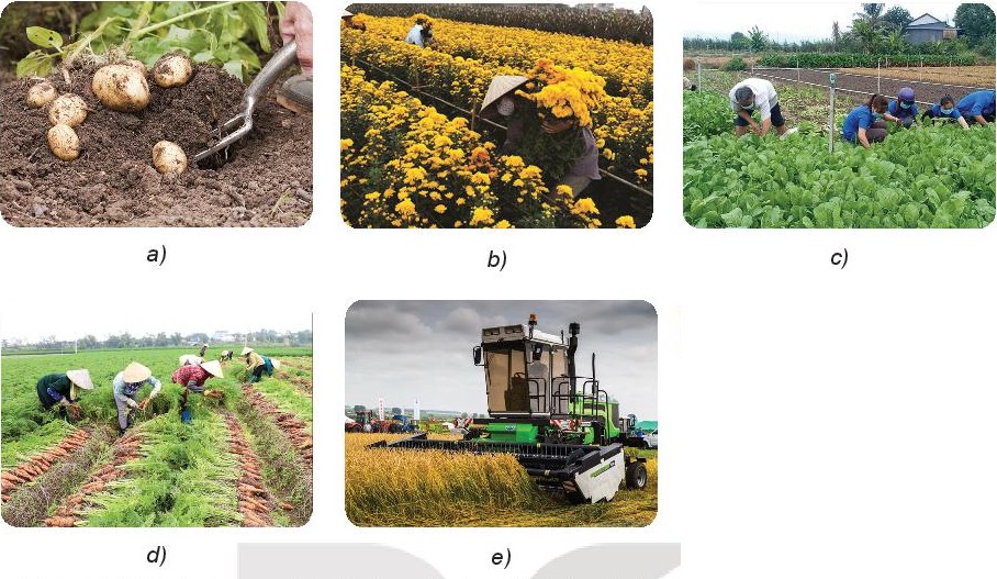 Có Mấy Phương Pháp Bảo Quản Sản Phẩm Trồng Trọt Phổ Biến Nhất? Có Mấy Phương Pháp Bảo Quản Sản Phẩm Trồng Trọt Phổ Biến Nhất?
