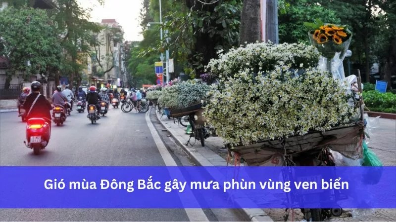 Tháng 6 Là Mùa Gì? Khám Phá Vẻ Đẹp Đặc Trưng Của Mùa Hè
