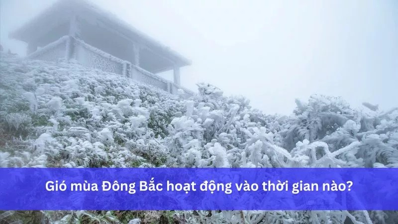 **Gió Mùa Đông Bắc: Thời Gian Hoạt Động, Đặc Điểm và Ảnh Hưởng?** **Gió Mùa Đông Bắc: Thời Gian Hoạt Động, Đặc Điểm và Ảnh Hưởng?**