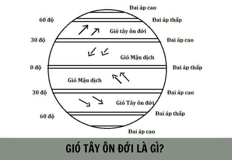 Gió Tây Ôn Đới Là Gì? Ảnh Hưởng Đến Việt Nam Như Thế Nào? Gió Tây Ôn Đới Là Gì? Ảnh Hưởng Đến Việt Nam Như Thế Nào?