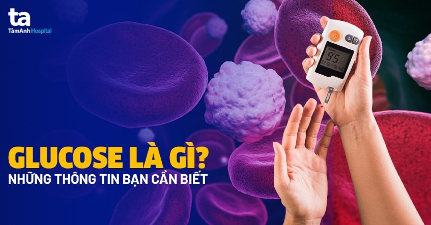 Glucôzơ Không Có Tính Chất Nào Dưới Đây? Giải Đáp Chi Tiết Glucôzơ Không Có Tính Chất Nào Dưới Đây? Giải Đáp Chi Tiết
