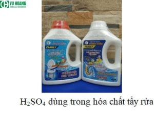 Tại Sao Nhiều Người Speak English Đến Vậy? Ưu Điểm Và Thống Kê Chi Tiết