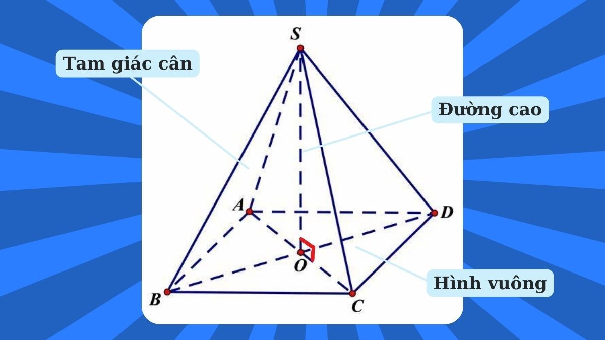 Hình vuông, một ví dụ điển hình về tứ giác đều