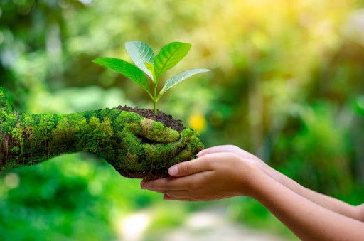 **Khám Phá Biểu Tượng Các Nước: Điểm Đến Du Lịch Nổi Tiếng Thế Giới**
