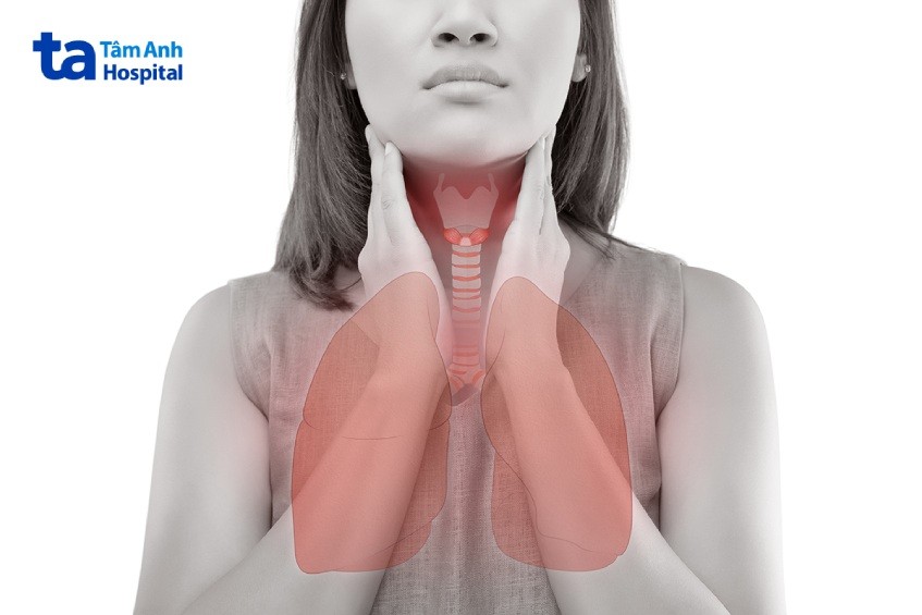 Hệ Tiêu Hóa Gồm Những Cơ Quan Nào? Chức Năng và Bảo Vệ