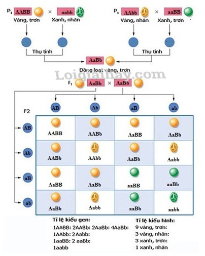 Đừng Quên Làm Bài Tập Về Nhà: Góc Khuất Chăm Sóc Chuyển Giới Trẻ Em Ở Phần Lan?