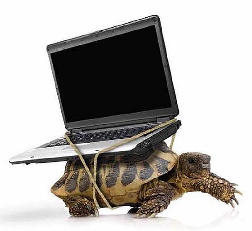 Tại Sao Laptop Chậm Như Rùa? Cách Khắc Phục Hiệu Quả Nhất Tại Sao Laptop Chậm Như Rùa? Cách Khắc Phục Hiệu Quả Nhất