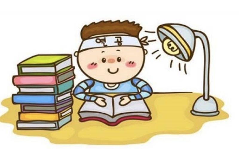 Kiểu Phân Bố Nào Thường Gặp Khi Điều Kiện Sống Đồng Đều?