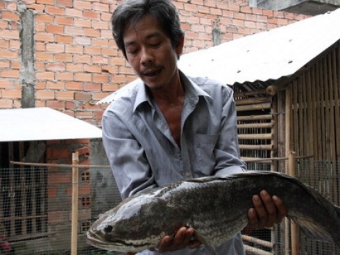 **Mekong Delta Là Một Địa Điểm Tuyệt Vời Như Thế Nào: Khám Phá Tiềm Năng?** **Mekong Delta Là Một Địa Điểm Tuyệt Vời Như Thế Nào: Khám Phá Tiềm Năng?**