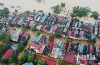 Địa Hình Chịu Tác Động Mạnh Mẽ Của Con Người Ở Việt Nam Ra Sao?