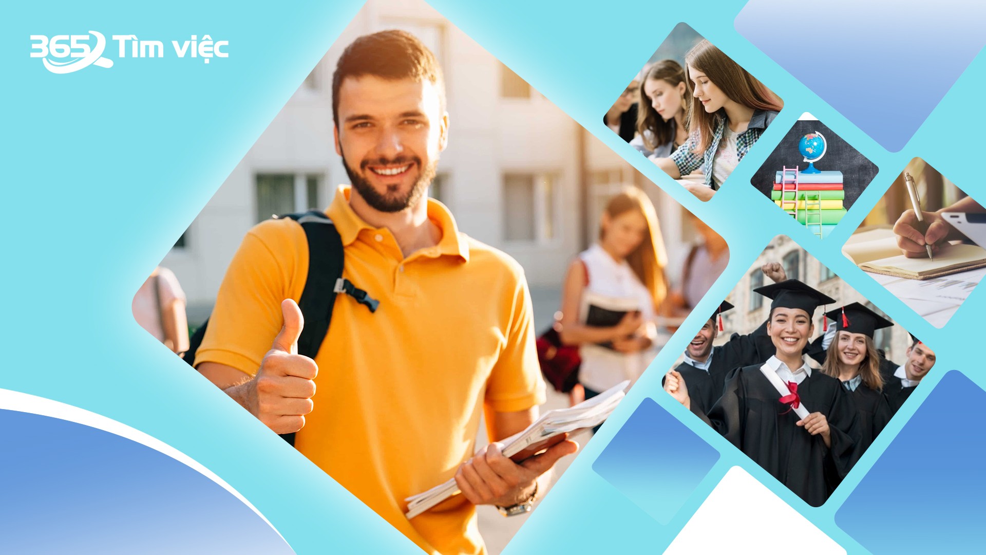 Hô Hấp Hiếu Khí Được Diễn Ra Trong Giai Đoạn Nào? Ý Nghĩa Và Giai Đoạn