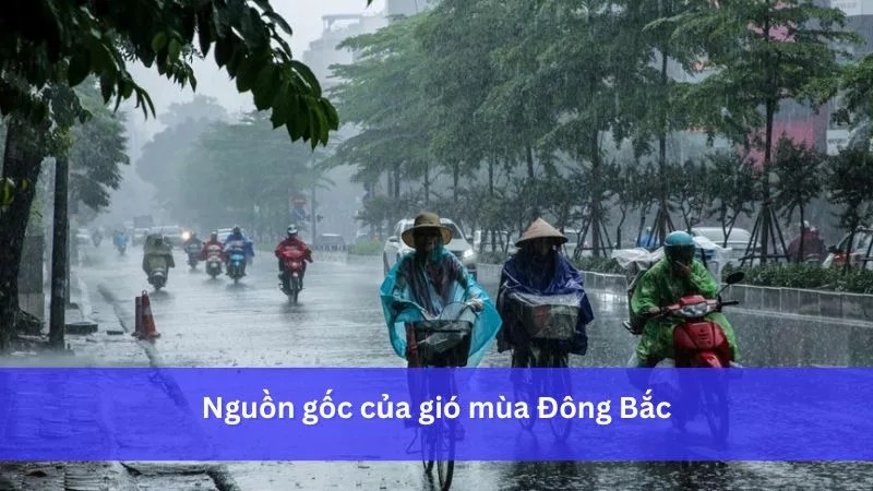 Tháng 6 Là Mùa Gì? Khám Phá Vẻ Đẹp Đặc Trưng Của Mùa Hè