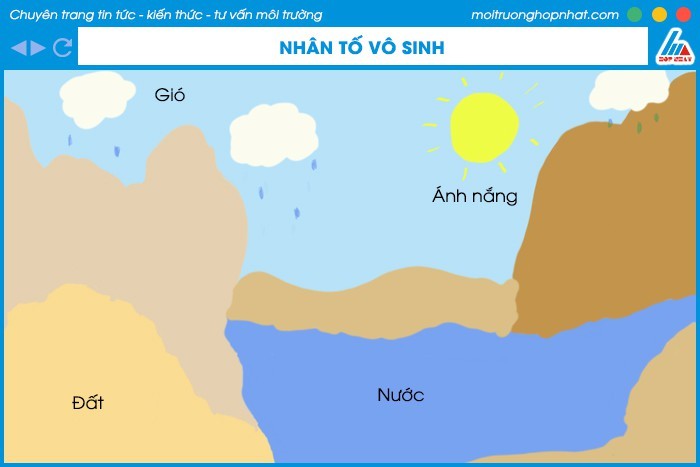 **Nhân Tố Sinh Thái Là Gì? Ảnh Hưởng & Ứng Dụng Trong Thực Tế** **Nhân Tố Sinh Thái Là Gì? Ảnh Hưởng & Ứng Dụng Trong Thực Tế**