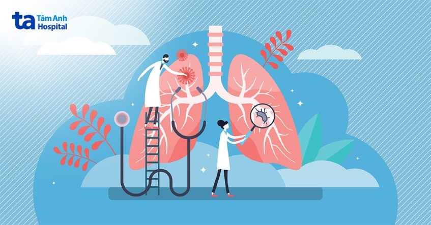 Hệ Tiêu Hóa Gồm Những Cơ Quan Nào? Chức Năng và Bảo Vệ