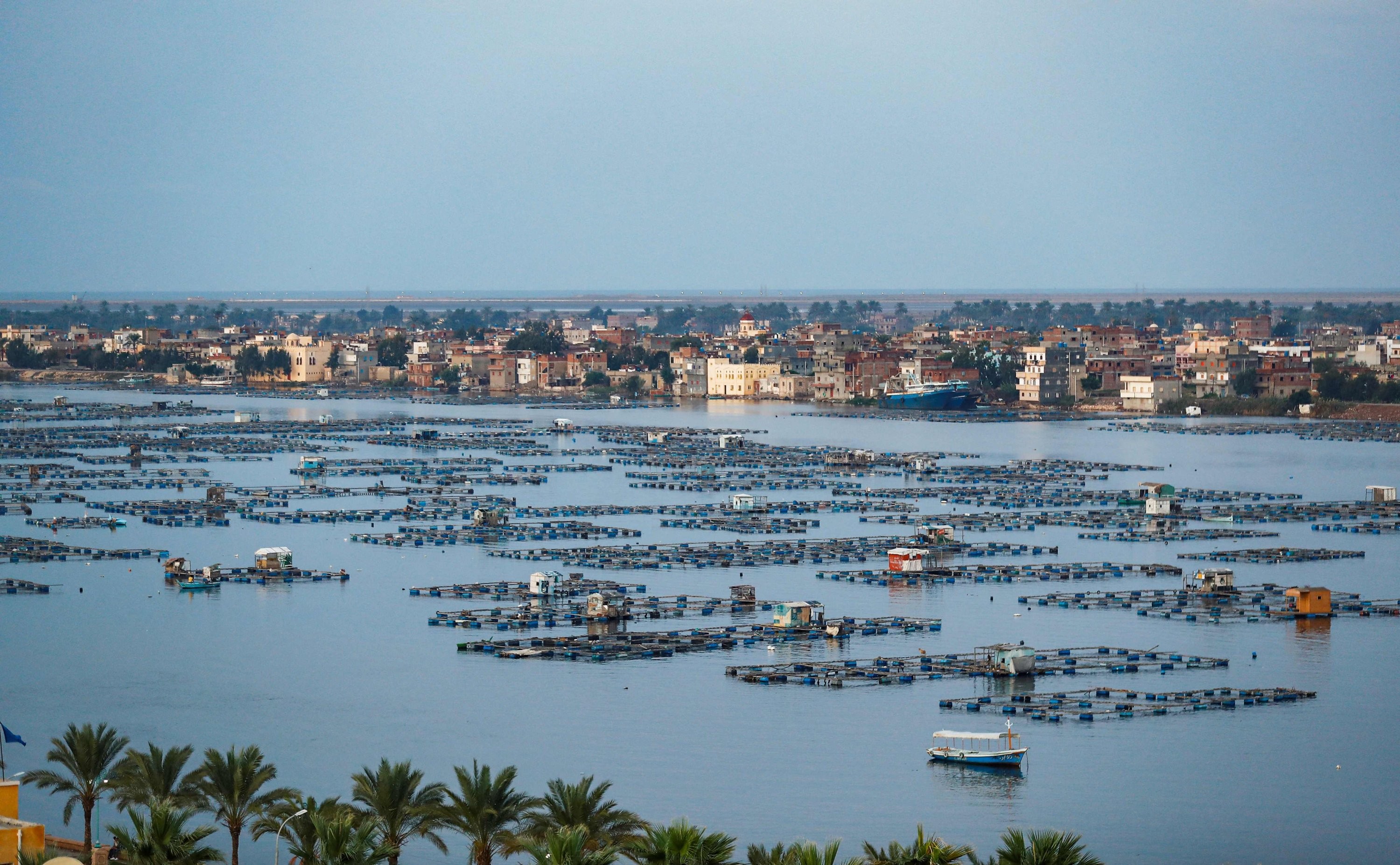 Lồng bè nuôi cá trên sông Nile tại Alexandria, Ai Cập