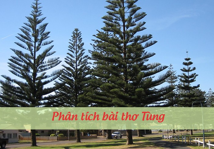 Phân Tích Bài Thơ Tùng Của Nguyễn Trãi: Giá Trị Nội Dung & Nghệ Thuật? Phân Tích Bài Thơ Tùng Của Nguyễn Trãi: Giá Trị Nội Dung & Nghệ Thuật?